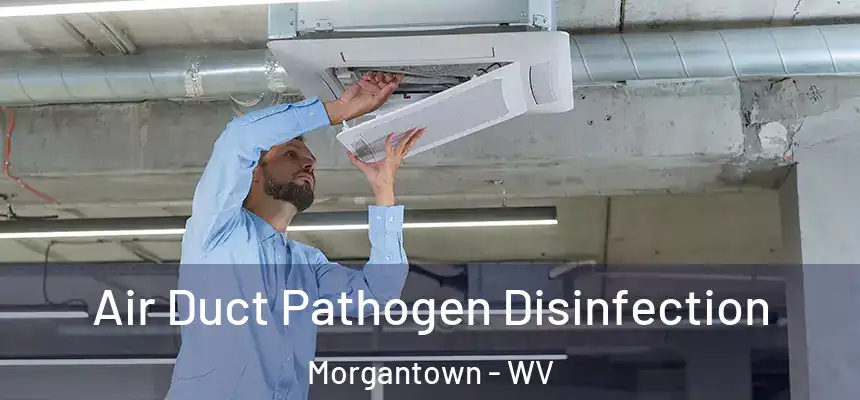  Air Duct Pathogen Disinfection Morgantown - WV