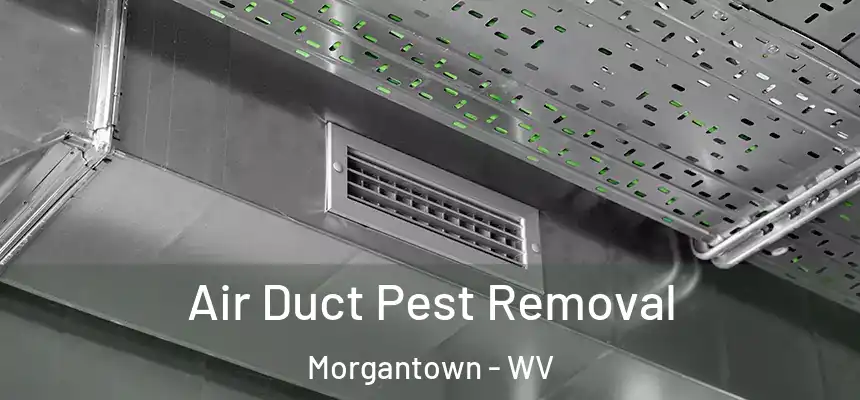  Air Duct Pest Removal Morgantown - WV