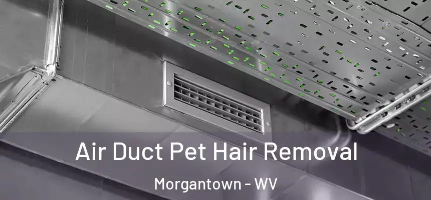  Air Duct Pet Hair Removal Morgantown - WV