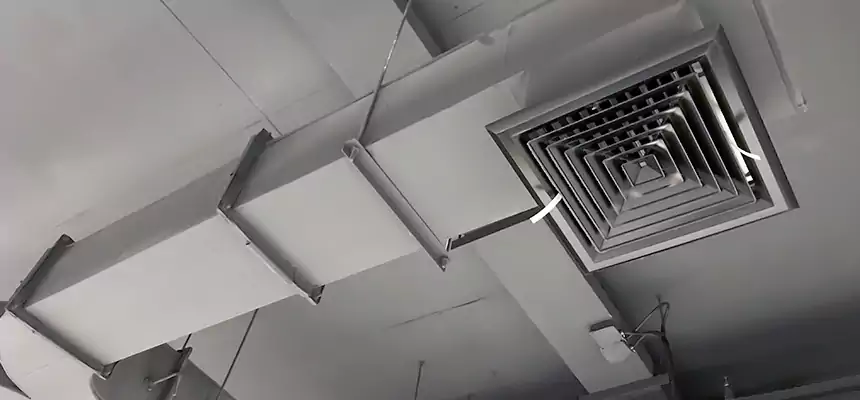 Restorative Allergy Relief Vent Cleaning – Coil, Blower & Housing Detail in Morgantown