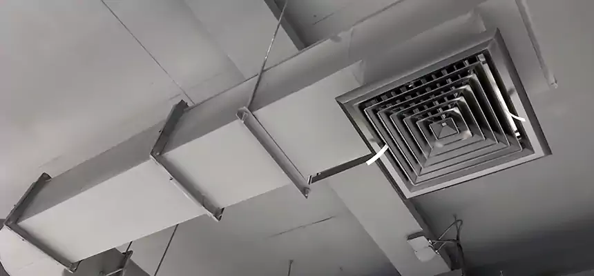 Our Pest Removal From Ducts Services in Morgantown, WV