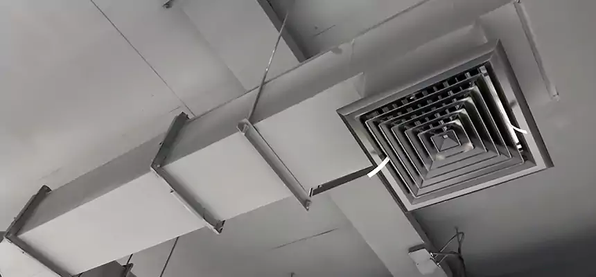 Our Rodent Droppings In Vents Services in Morgantown, WV