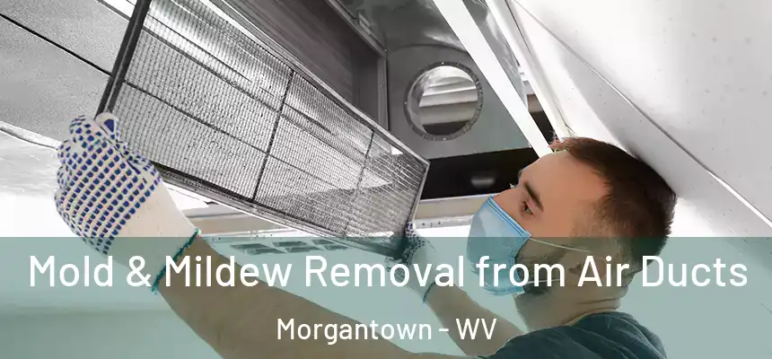  Mold & Mildew Removal from Air Ducts Morgantown - WV