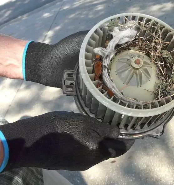 About Air Duct Mice Removal in Morgantown, WV