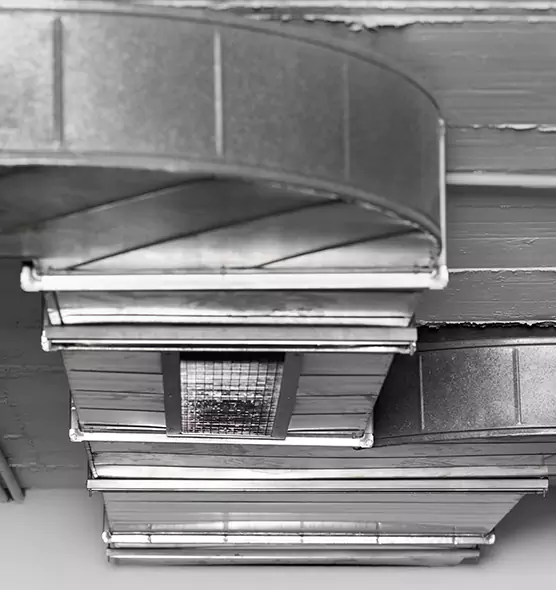 Professional Air Duct Pet Hair Removal in Morgantown, WV