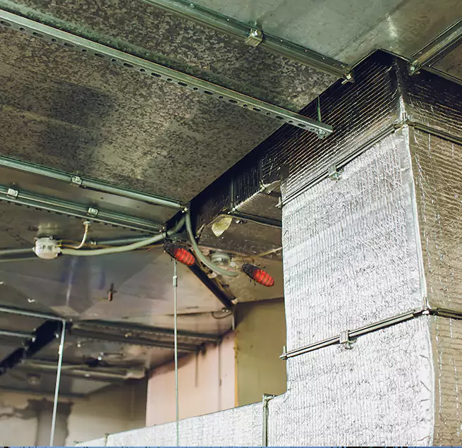 Why Homeowners & Businesses Trust Us in Morgantown, WV?